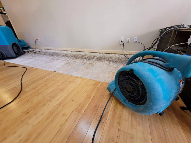 Professional Sewage Cleanup technician working in Frederick, MD